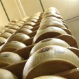 Our first stop that morning would be Coop Caseria Castelnovese, a Parmigiano Reggiano factory in Modena. We pulled up into a somewhat non-descript industrial looking building and were let into a large rolling back door of the factory. 