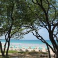 Travel Photo Thursday: Hapuna Beach Big Island Hawaii This picture was taken in 2009 on the beach at the Hapuna Beach Prince Resort on Big Island. We were taking advantage of the shade on a hot August day while looking down on the sparsely populated beach.