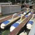  The original Disneyland Submarine Voyage ride opened in 1958 and ran for 40 years before being shut down in 1998. After 9 long years of sitting empty, it was finally reopened in 2007. In April of 2006 I was lucky enough to catch these shots of the Submarine renovation.I've always enjoyed taking pictures of construction when at the parks. Sometimes you have to hold your camera above fencing to take these kinds of shots, but in this case I was able to get a nice view of the submarine lagoon while wating for a ride at the Disneyland Monorail station in Tomorrowland. 

