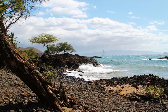 Naupaka Black Sand Beach on Maui