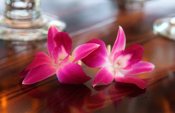 Hawaii Orchids
