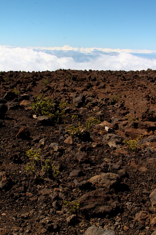 Rockscape at Haleakala Maui