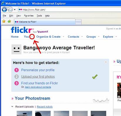 Set Flickr Privacy Settings